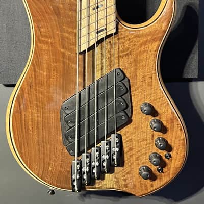 Dingwall 5 string Quad LowEnd Slim image 2