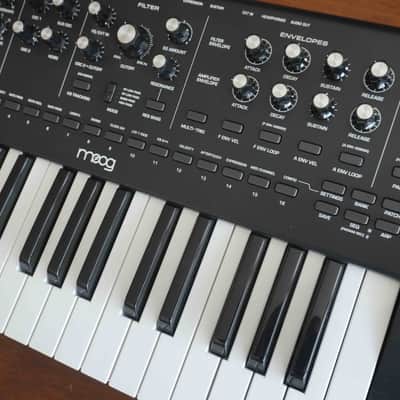 Moog Messenger 32-Key Monophonic Synthesizer 2025 - Present - Black image 3