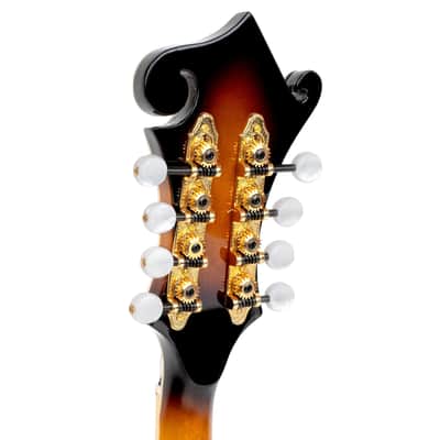 Gold Tone Mastertone™ GM-70+: F-Style Mandolin with Case image 20