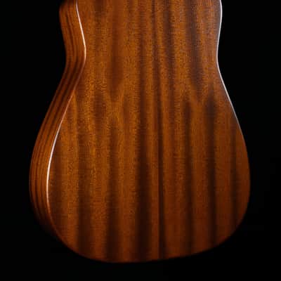 Beard Trailhead Mahogany, E Body Round Neck, Tobacco, Fishman Nashville Pickup - NEW image 2