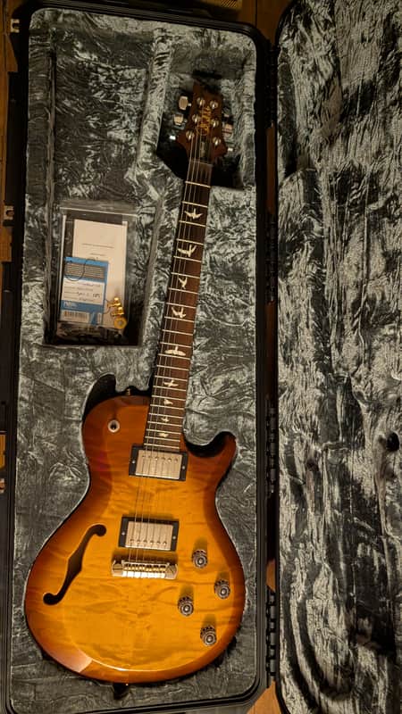 2016 PRS S2 Singlecut Semi-Hollow w/SKB waterproof case image 1