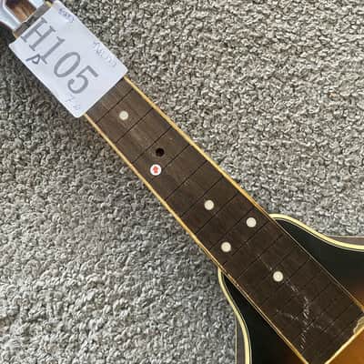 Honey Burst 8 String Mandolin Project, Spruce Top, Mahogany Body, Rosewood Fingerboard image 8