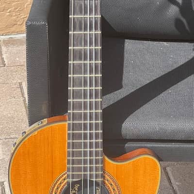 Gibson Chet Atkins CE 1997 - a very rare transitional 3 knob model of the fabulous Nylon Chet. image 8