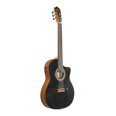 Ibanez GA3007CE Acoustic Electric Guitar with Hard Case (Natural High Gloss) image 3