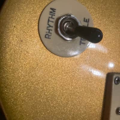 Epiphone LYNYRD SKYNYRD Les Paul 30 Year Anniversary 2003 - Gold image 13