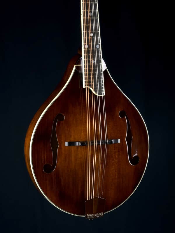 訳あり Eastman MD505　マンドリン ハードケース付き 訳あり Eastman MD505 マンドリン ハードケース付き Eastman MD505 A