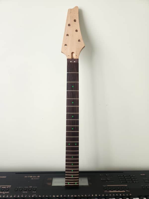Ibanez AANJ RG/Jem USA Custom Built Rosewood Neck image 1