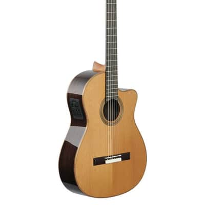 Cordoba Fusion Orchestra CE Nylon Acoustic Electric Guitar image 8