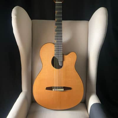 Paul McGill Super Ace Nylon Classical Cutaway Brazilian Rosewood BAM Case image 2