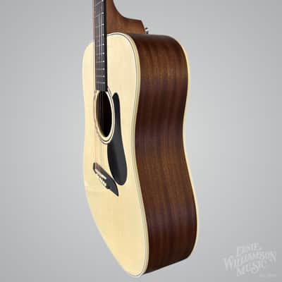 Alvarez RD26 Dreadnought Guitar with Deluxe GigBag image 4