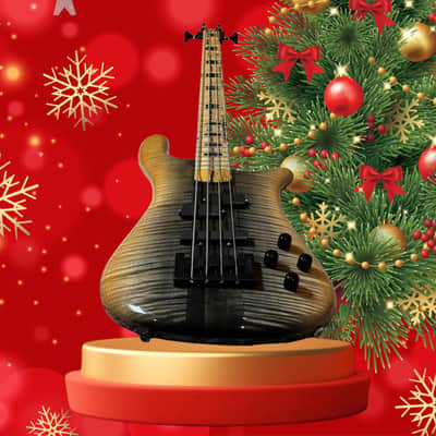 SPECTOR NS 2 - USA 2021 - 4 STRINGS image 16