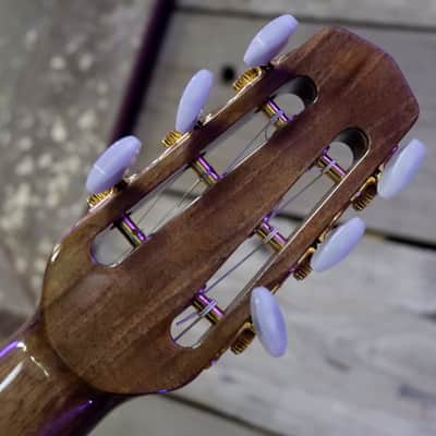 DuPont MD50 Gypsy Jazz Petite Bouche 2014 image 19
