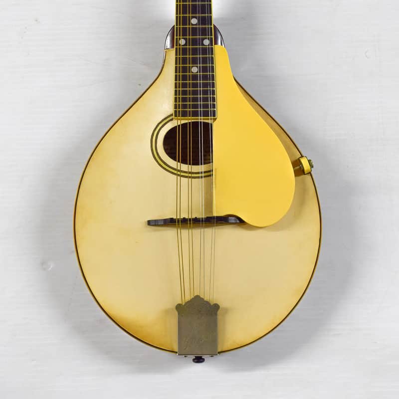 Gibson A-3 Mandolin 1919 - Ivory image 1