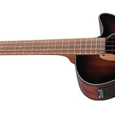 Ibanez AEGB24E 4-String Acoustic-Electric Bass Guitar, Sapele Top, Mahogany Sunburst image 2