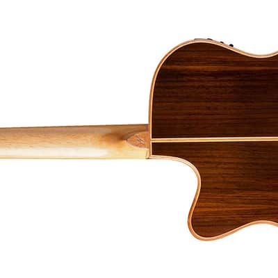 Washburn WCG25SCE Comfort Series Grand Auditorium Cutaway w/ Fishman.  New with Full Warranty! image 20