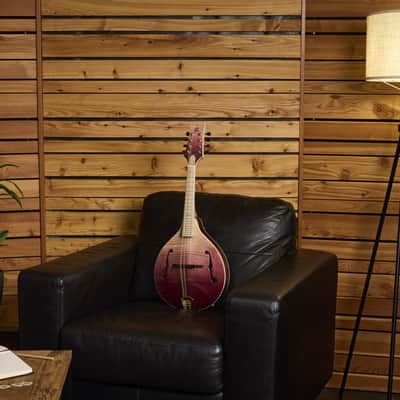 Ortega RMAE200PF Americana Series A-Style Solid Flamed Maple Top Maple Neck 8-String Acoustic-Electric Mandolin w/Croco Leather Case image 13