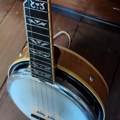 2006 Walker Mini Banjo w/ Custom Case image 9