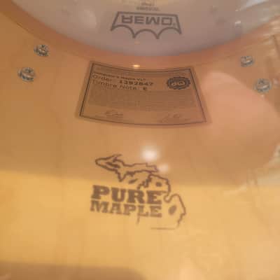 DW Collector's Series VLT 4 Piece Drum Shell Pack W/ Bags 13/16/18/24 - Creme Oyster (C013-8) image 13