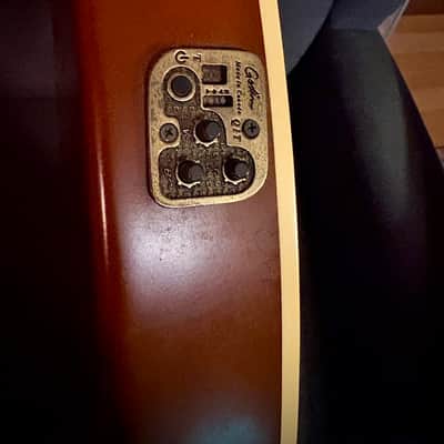 Godin Multiac Encore Oud image 3