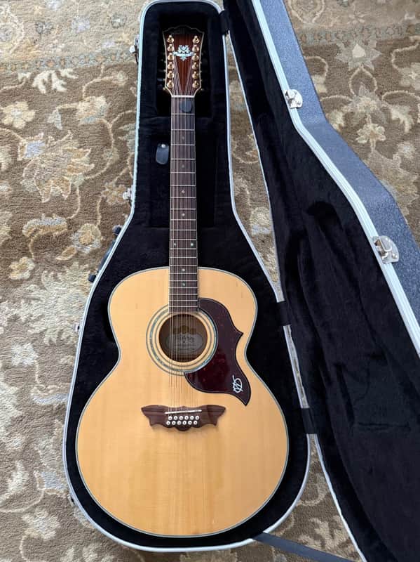 Washburn Cumberland J28S12DL - 12-String Acoustic Guitar w/ Case Washburn Cumberland J28S12DL - 12-String Acoustic Guitar w/ Case