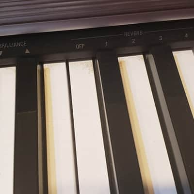 Casio Privia PX-720 Professional 88 Weighted-Key Keyboard image 3