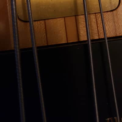1996 Alembic Stanley Clarke 5 String Bass w/ Original Hard Shell Case image 10