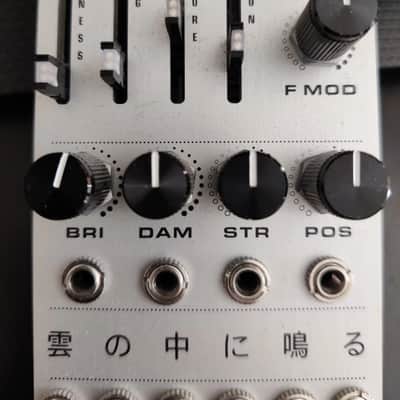 Big T Music Rangoon Mutable Instruments Rings Clone Eurorack Module image 6