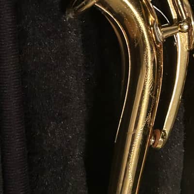 Fred Duo Custom class professional alto saxophone with case image 11