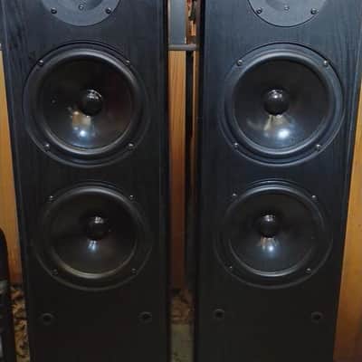 Pinnacle Classic Gold Reference speakers in excellent condition - 2000's image 1