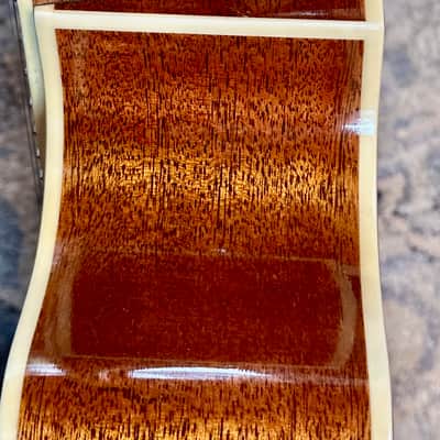 Carvin Cobalt 770T Mahogany with OHS Case image 9