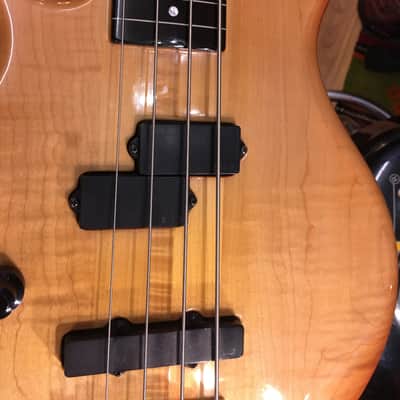 Pedulla '87 Buzz Bass - Lefthanded - Fretless image 12