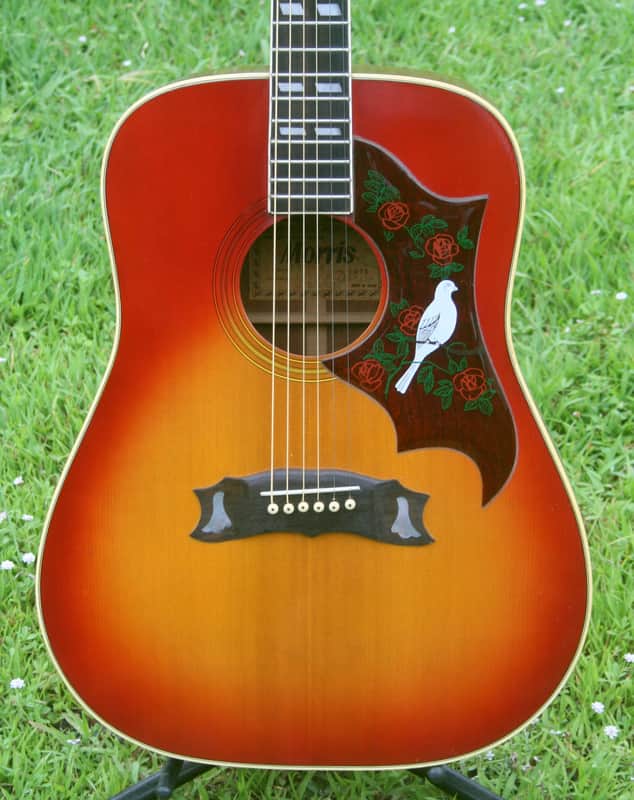 Morris Dove Replica WD25 1975 Cherry Sunburst | Reverb