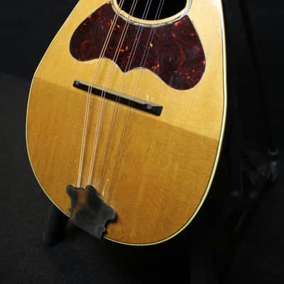 Lyon & Healy BOWLBACK MANDOLIN 1900'S - NATURAL image 5
