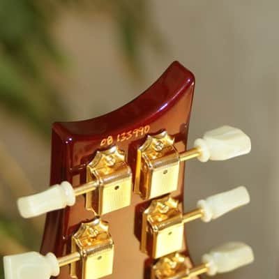PRS SC 245  Artist image 4