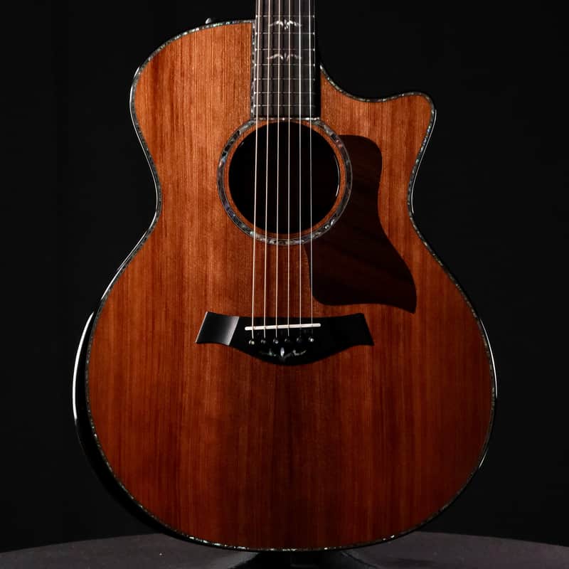 Taylor PS14ce Prototype - Natural Honduran Rosewood image 1