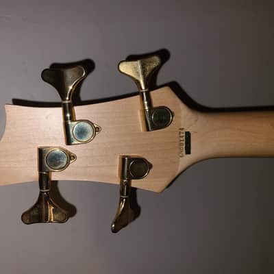 Brice Fretless 2003 Blue image 5