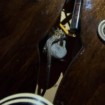 1969 Gibson ES-335 with Factory Installed Bigsby - Walnut image 19