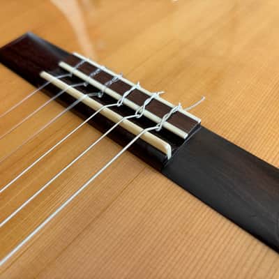 Asturias Wataru Tsuji N-2 Spruce/Indian Rosewood 1996 Japan image 9