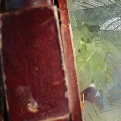 Oscar Schmidt Zither/ Mandolin Guitar 
Dated 1915 image 13
