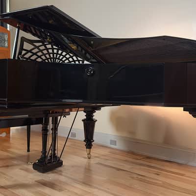 Immagine Bechstein V 1903 - Black Polish - 15
