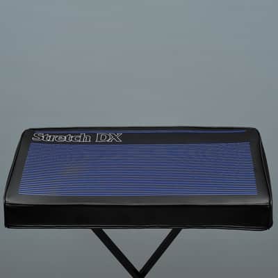 Oberheim STRETCH DX cover