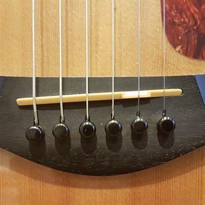 Taylor 310CE Limited Edition - Beautiful 3 Piece Back of Flamed & Quilted Maple image 6