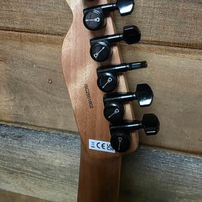 Charvel Standard Series San Dimas® Style-2 SD2 HH HT - Gloss Black image 11