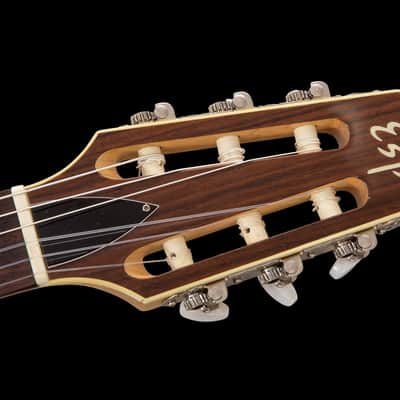 ESP Eclipse Semi-Acoustic Nylon - See Thru Black - Custom Shop image 10