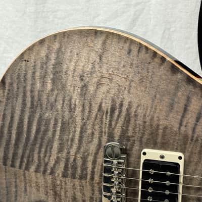 PRS Paul Reed Smith P22 Custom 22 with Piezo Guitar with Case 2012 image 4