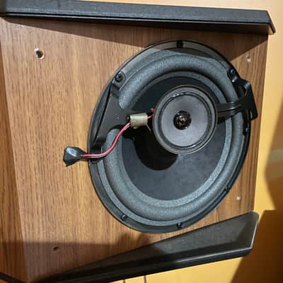 Bose  4.2 Series II Stereo Everywhere Speakers Pair image 3