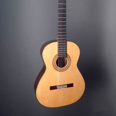 Steven Walter Guitars Concert image 1