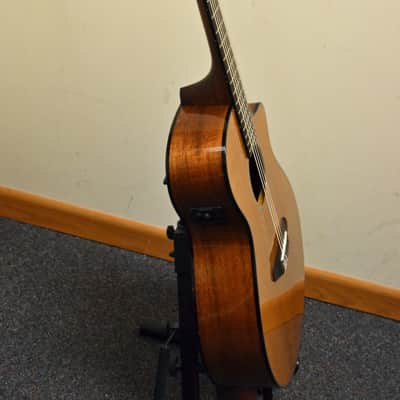 Breedlove Pursuit Nylon Electric image 5