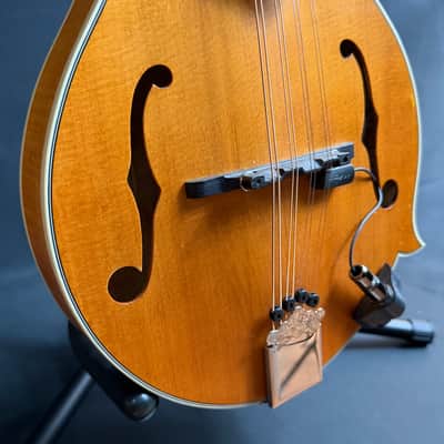Epiphone MM-50E Professional F-Style Mandolin Blonde Natural w/ LR Baggs Pickup image 6