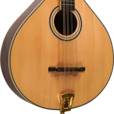 Gold Tone OM-800+ A-Style Acoustic-Electric Octave Mandolin, Solid Spruce Top, Natural image 1